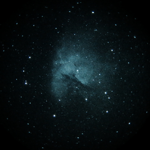 NGC 281, 20" f/3.0